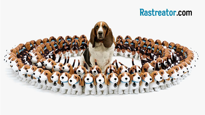 Rastreator | Mascotas con chispa